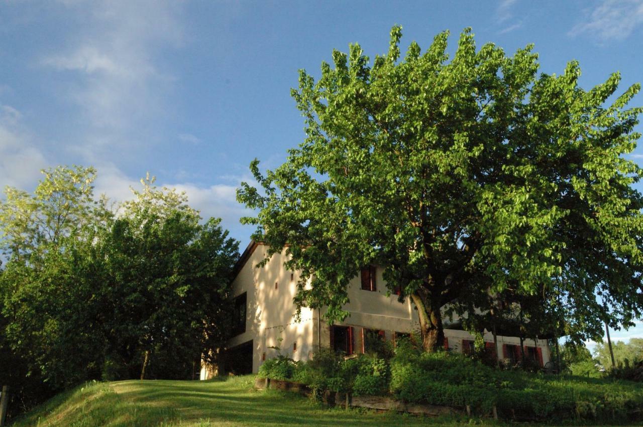Ca Borgh Villa Santa Maria di Feletto Exterior foto